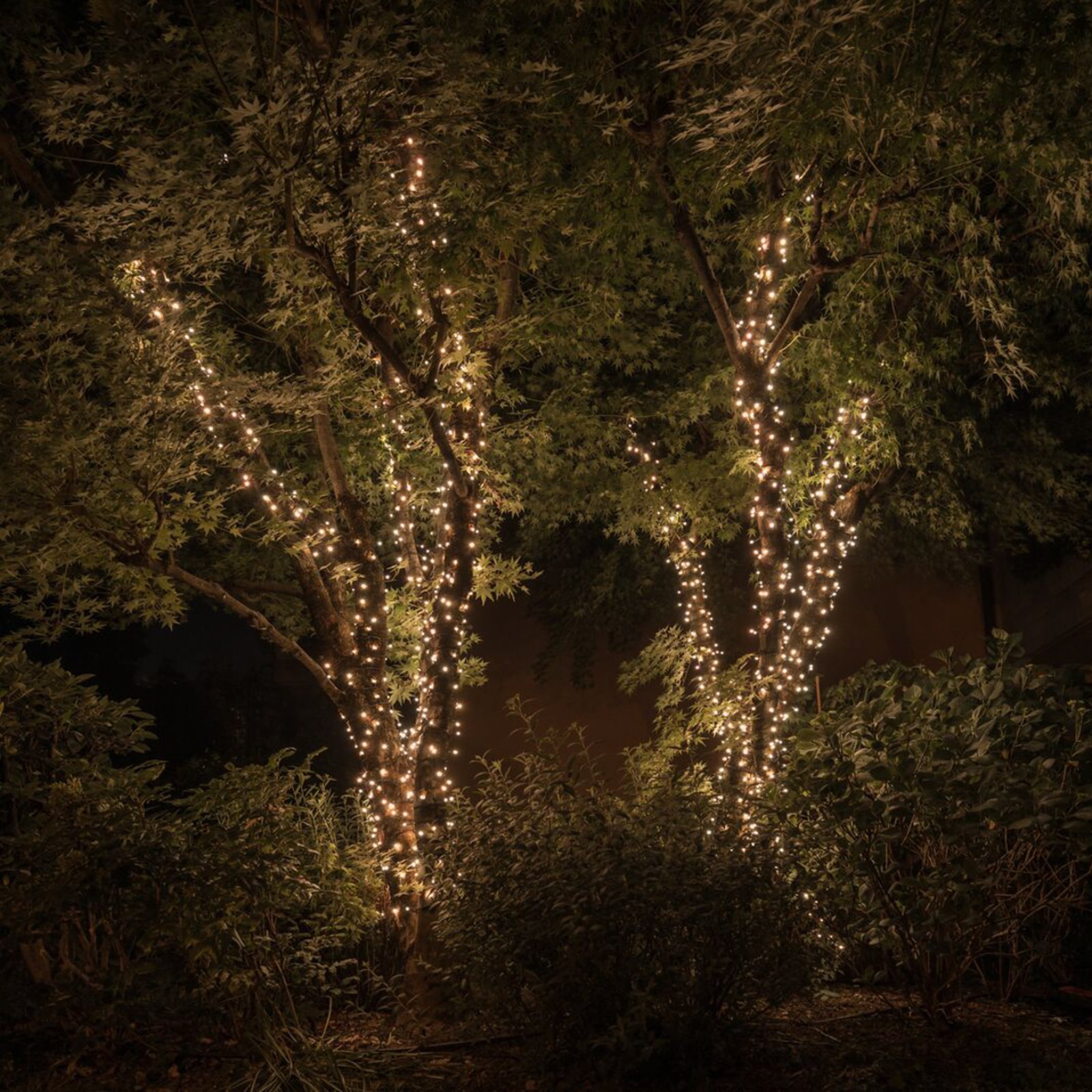 Guirlande lumineuse Twinkly RGBW, 250-fl. 20m noir